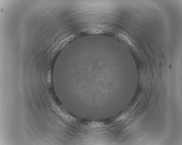 X0000059100549200510172122