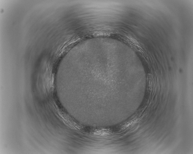 X0000059100550200510172122