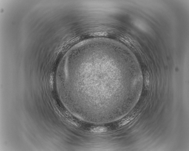 X0000059100551200510172122