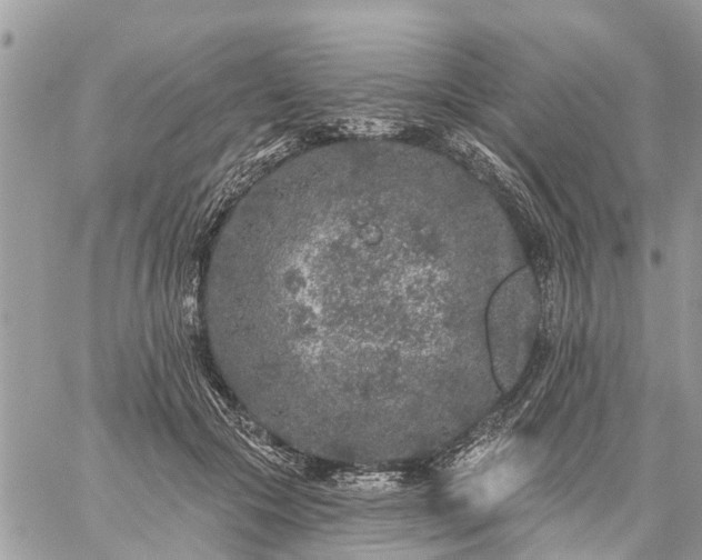 X0000059100553200510172122