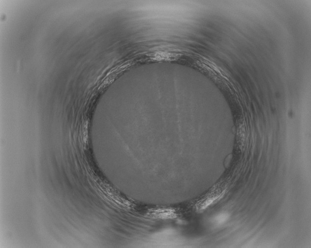 X0000059100554200510172122