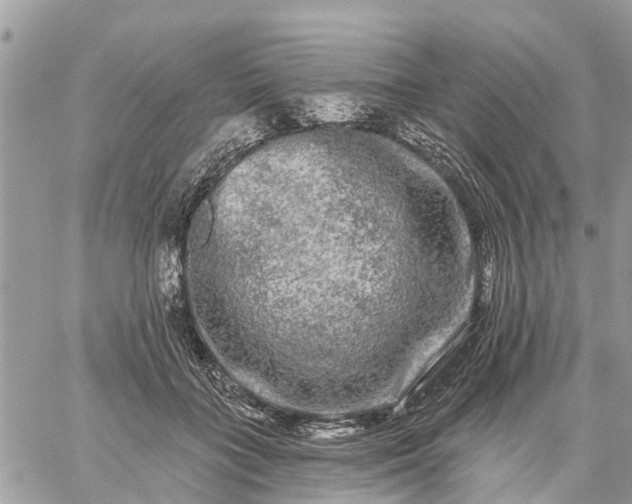 X0000059100555200510172122