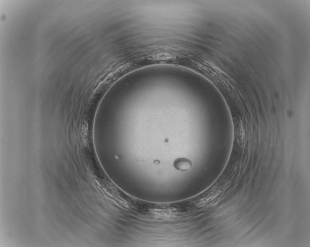 X0000059100556200510172122