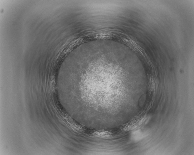 X0000059100557200510172122