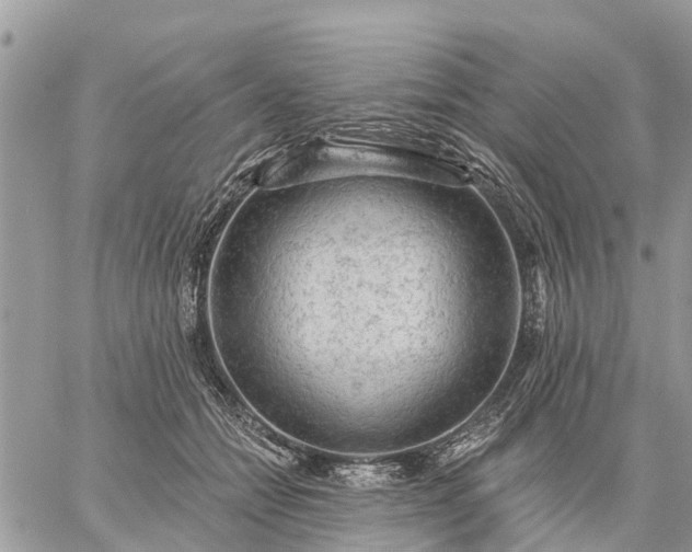 X0000059100558200510172123