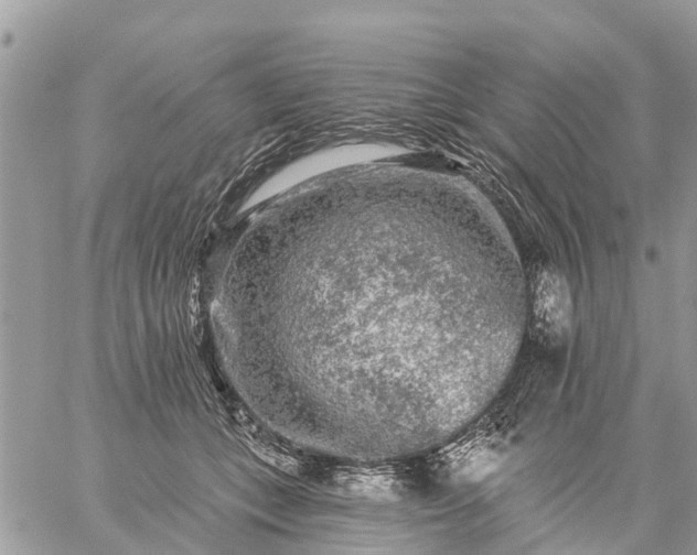 X0000059100559200510172123