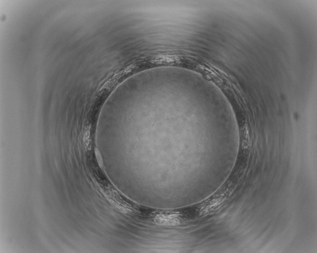 X0000059100560200510172123