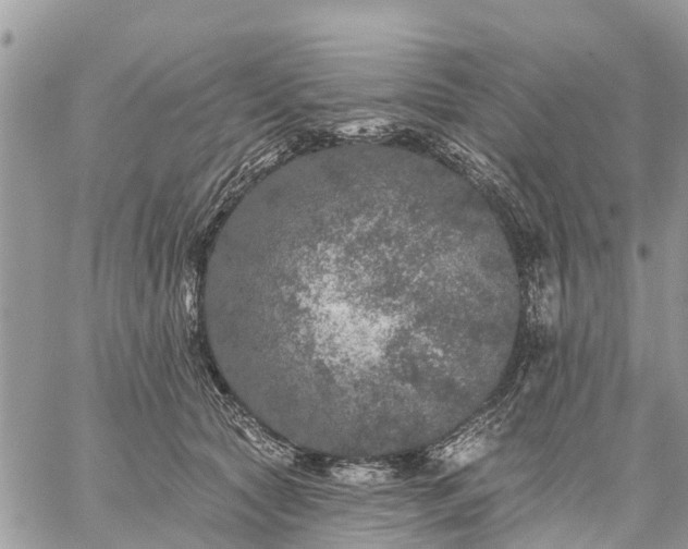 X0000059100561200510172123