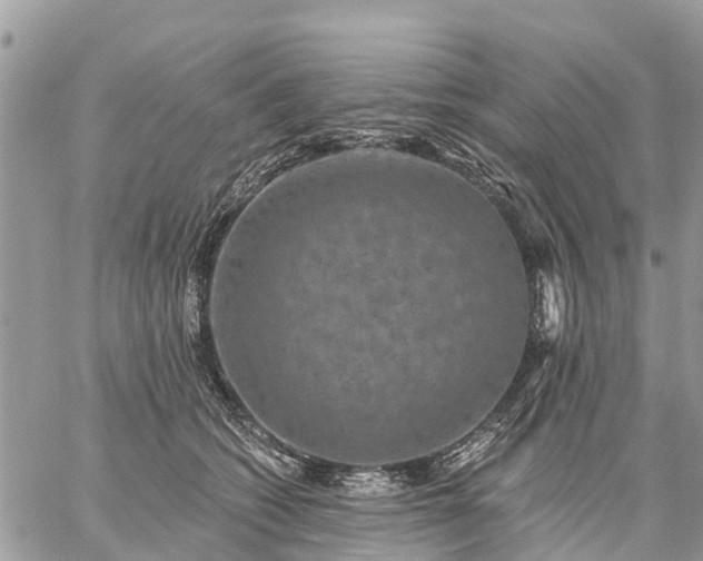 X0000059100562200510172123