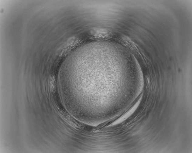 X0000059100563200510172123