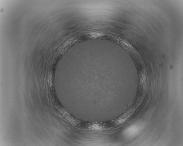 X0000059100565200510172123