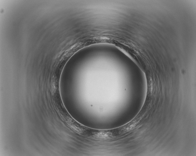 X0000059100566200510172123