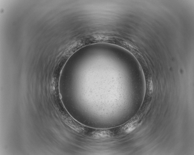 X0000059100567200510172123