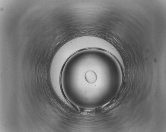 X0000059100568200510172123