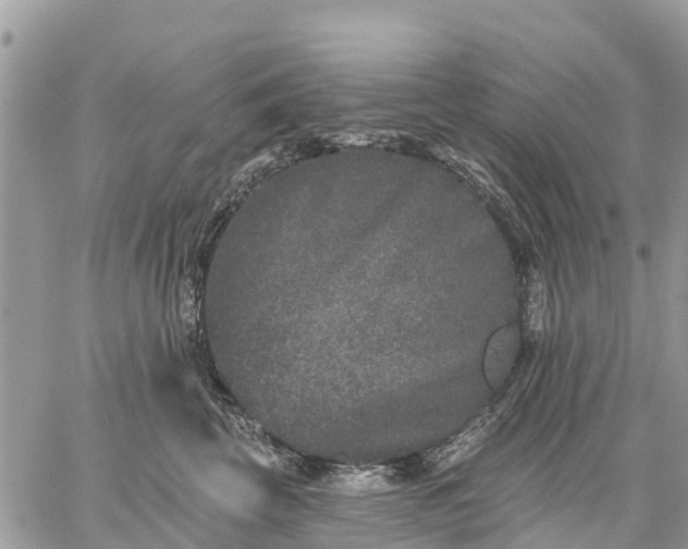 X0000059100569200510172123