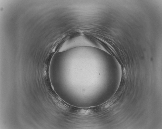 X0000059100570200510172123