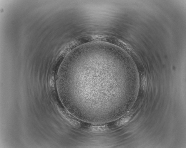 X0000059100571200510172123