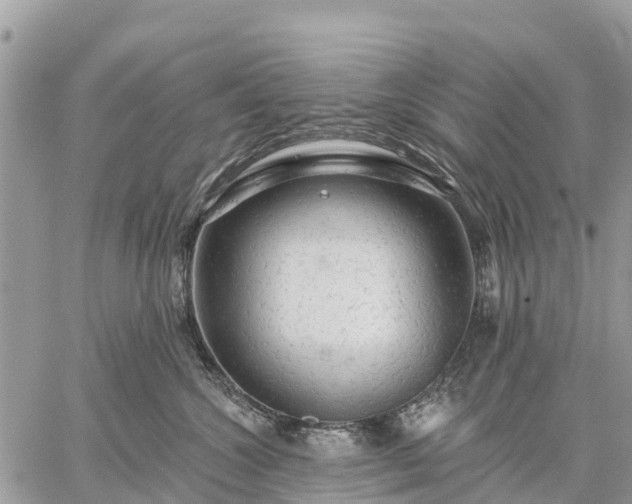 X0000059100572200510172123