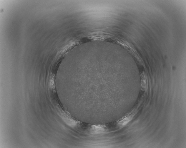 X0000059100573200510172123