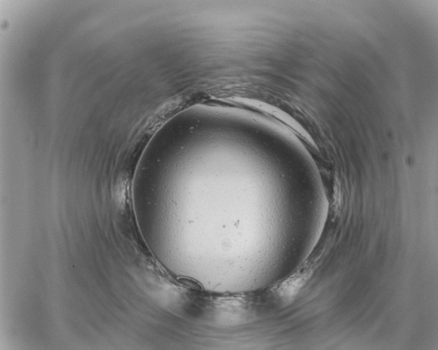 X0000059100574200510172123