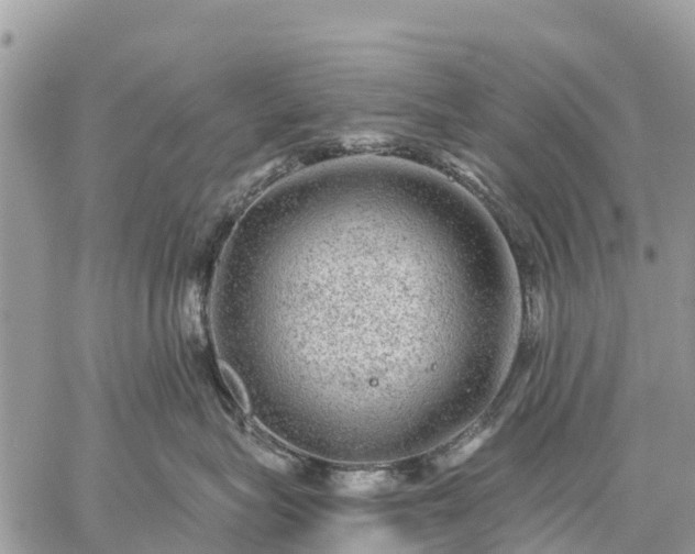 X0000059100575200510172123