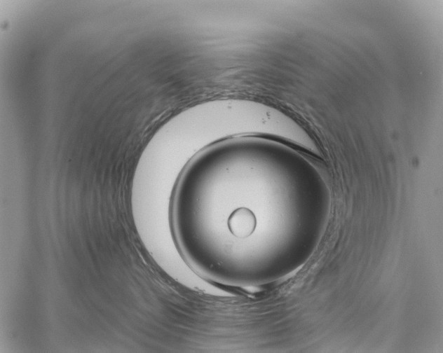 X0000059100576200510172123