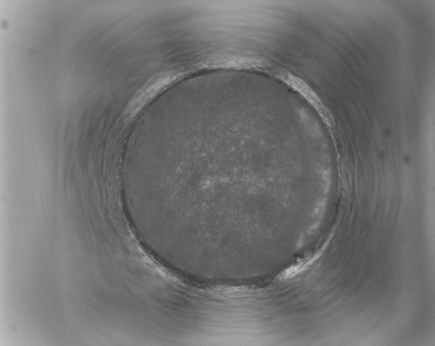 X0000059100577200510172122