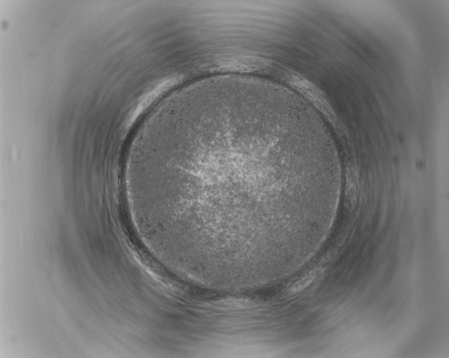 X0000059100578200510172122