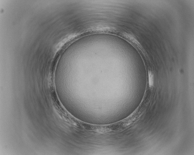 X0000059100579200510172122