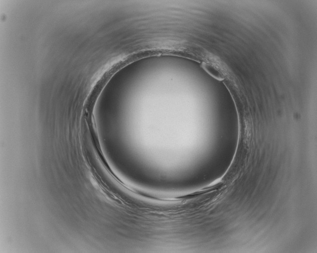 X0000059100580200510172122