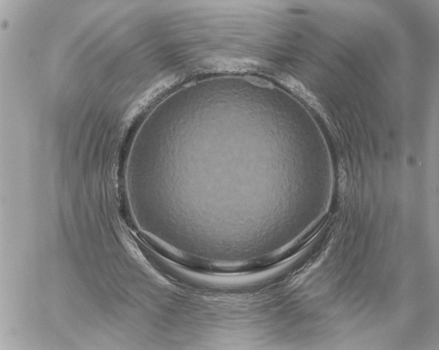 X0000059100581200510172122