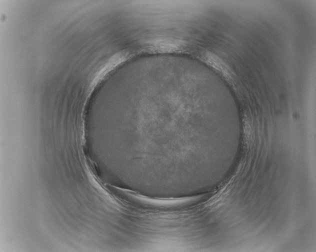 X0000059100582200510172122