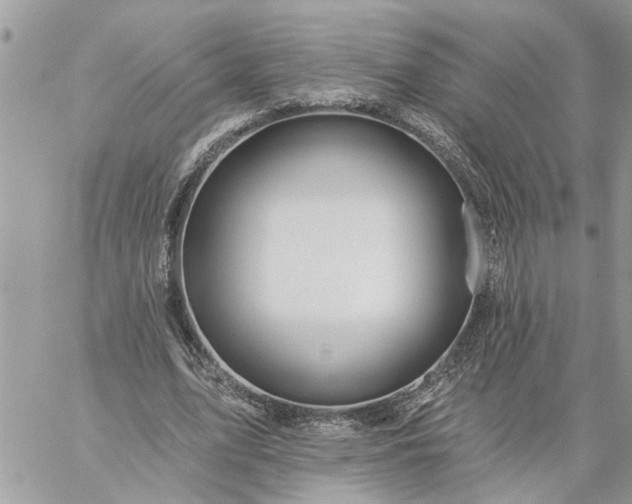 X0000059100583200510172122