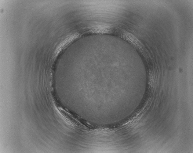 X0000059100586200510172122