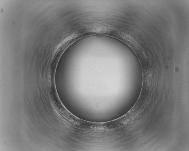 X0000059100587200510172122