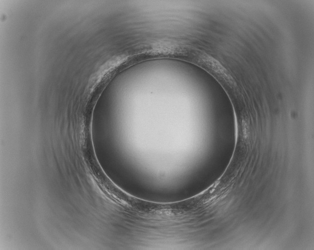 X0000059100588200510172122