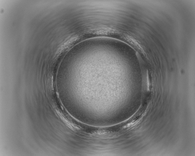 X0000059100589200510172122