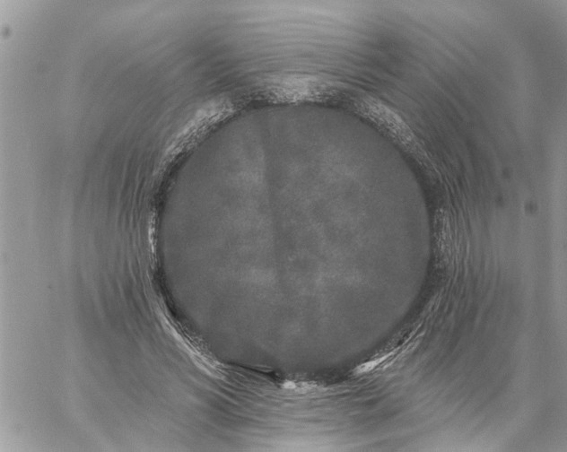 X0000059100590200510172122