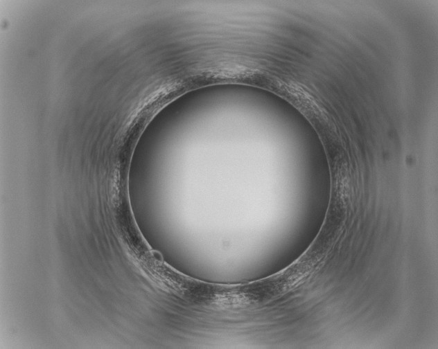 X0000059100591200510172122