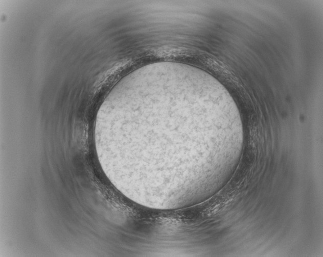 X0000059100592200510172122