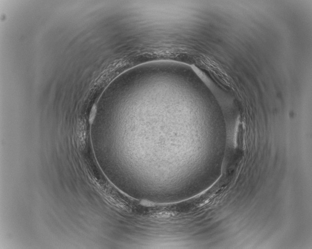 X0000059100593200510172122