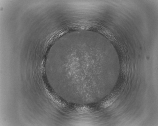 X0000059100594200510172122