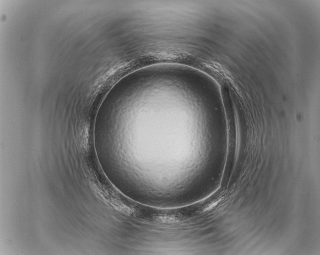 X0000059100596200510172122