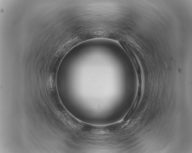 X0000059100597200510172122