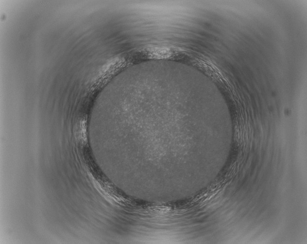 X0000059100598200510172122