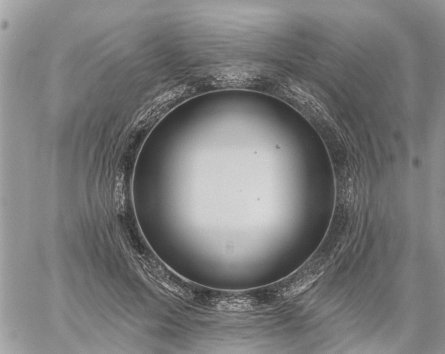 X0000059100599200510172122