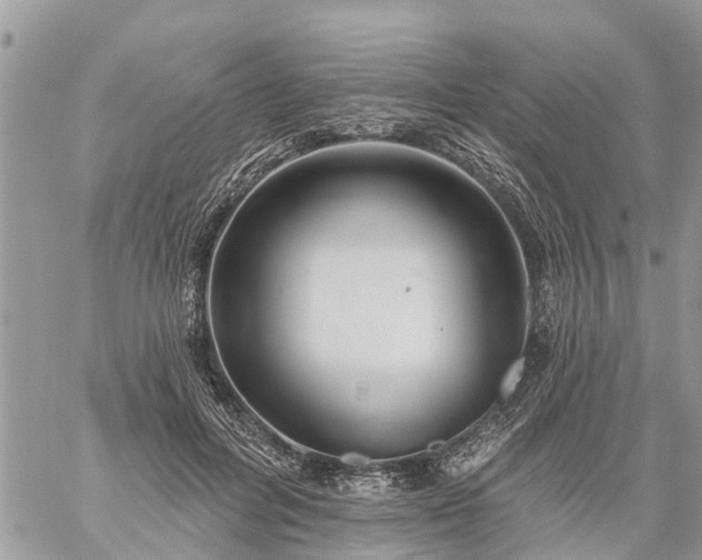 X0000059100600200510172122