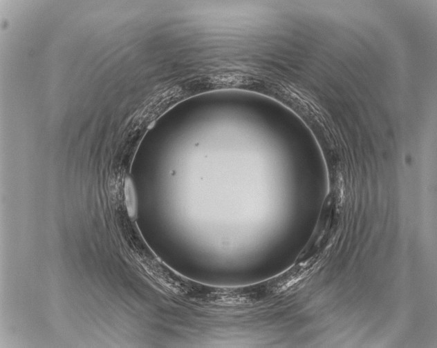 X0000059100601200510172122