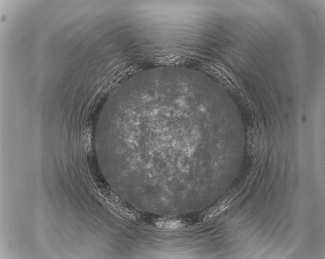 X0000059100602200510172122