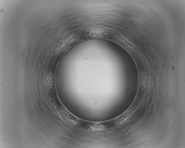 X0000059100603200510172122